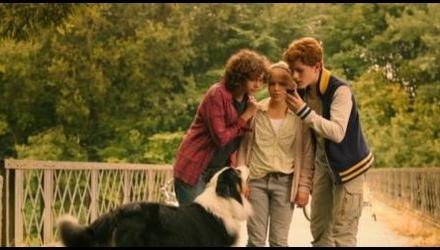 5 friends   %d0%ba%d0%be%d0%bf%d0%b8%d1%8f