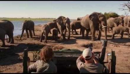 Afr safari 3